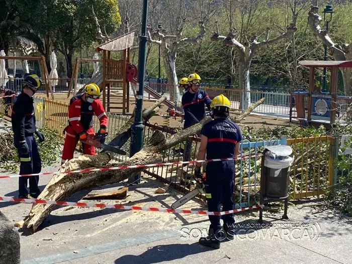 somoscomarca_obarco_suceso_caidaarbol_malecon_ges_bomberos (4)