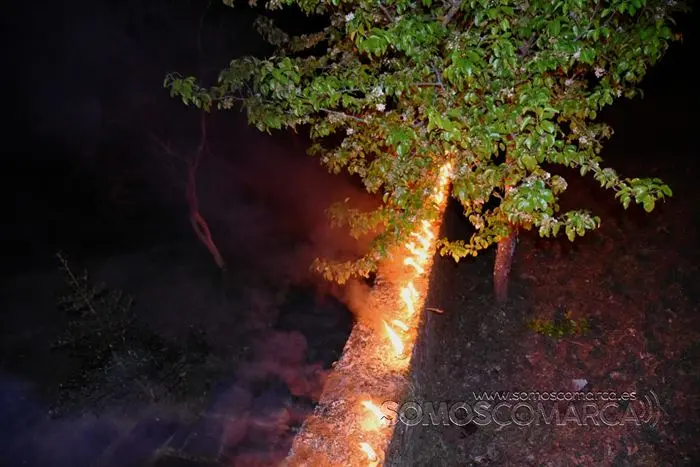 Procesión de los Caracoles en O Castro. Semana Santa 2022 (4)