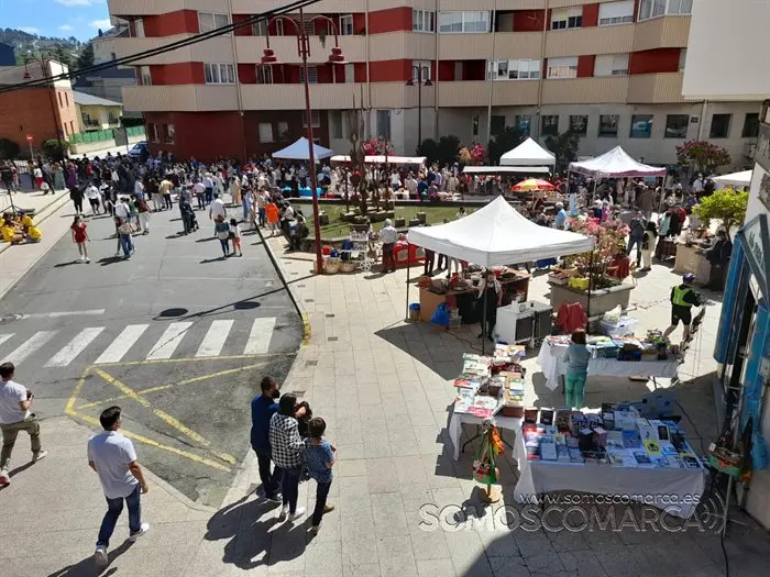 Festa dos Maios no Barco de Valdeorras 2022 (10)