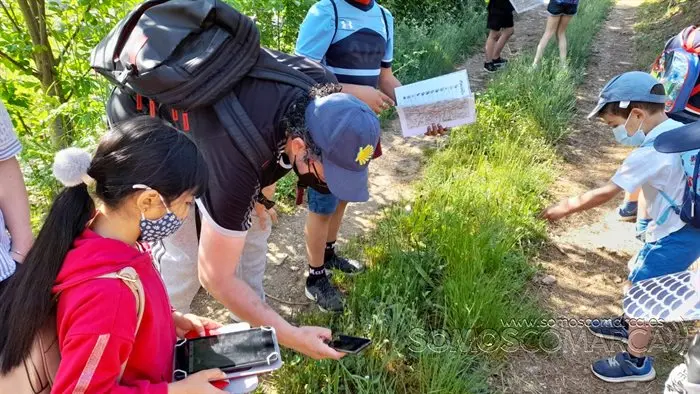 Roteiro de Florencio colexio Vilamart&iacute;n (8)