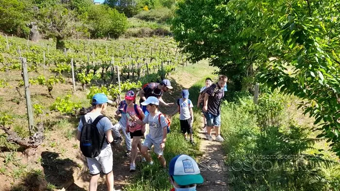 Roteiro de Florencio colexio Vilamart&iacute;n (12)