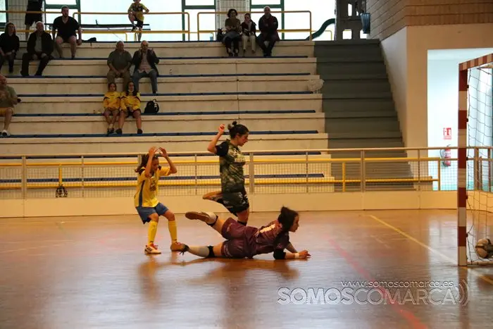 Encuejntro entre el Rua Valdeorras Futbol Sala y el Atlético Arnia 2-2 (25)