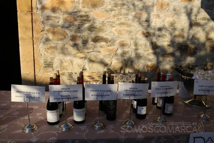 Presentación das XI Xornadas de Portas Abertas da Ruta do Viño de Valdeorras (38)