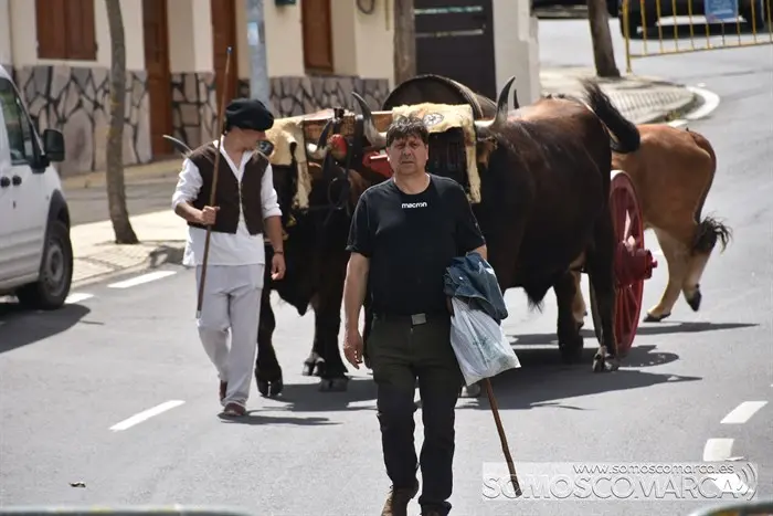 Feira de 1812 en Petín (29)