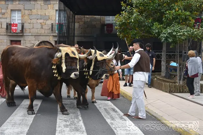 Feira de 1812 en Petín (52)