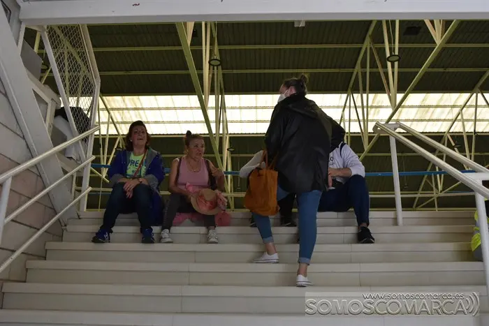 andaina limpeza camiño de inverno (10)