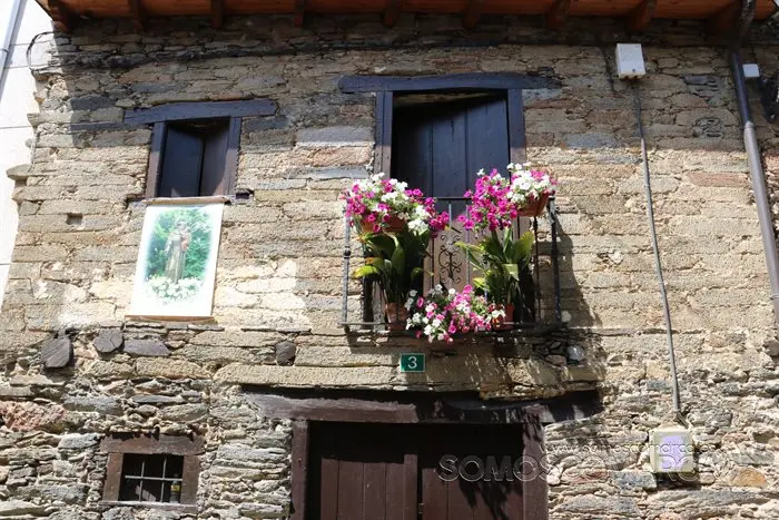 Festa e Procesión de San Antonio, en Fontei 2022 (30)