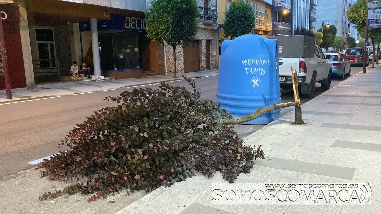 somoscomarca_viento_desperfectos_obarco_fachada_arboles_2022-06-15 (1)