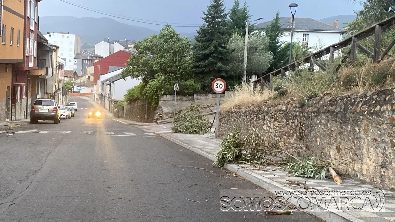 somoscomarca_viento_desperfectos_obarco_fachada_arboles_2022-06-15 (3)