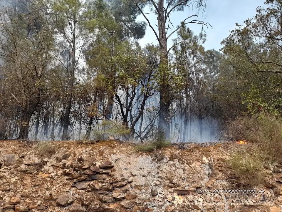 somoscomarca_fuego_arcos_incendio_2022-06-16 (2)