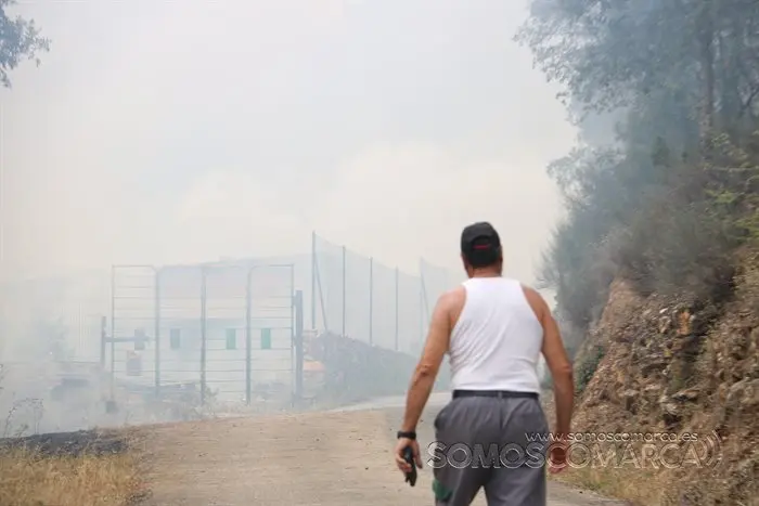 Incndio entre Arcos e C&oacute;rgomo 2022 (19)
