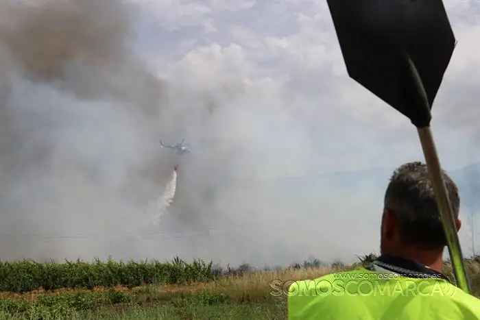 Incndio entre Arcos e C&oacute;rgomo 2022 (12)