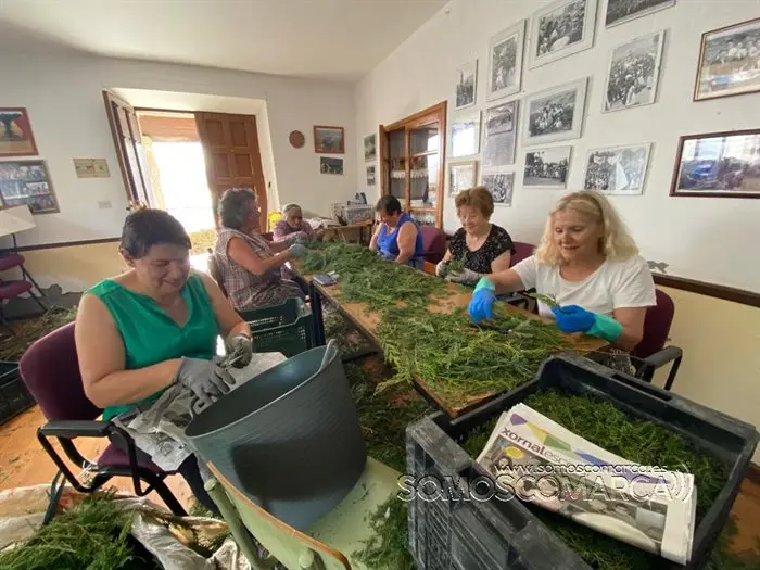 Alfombras de Corpus en  Valdeorras 2022 (1)