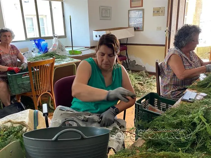 Alfombras de Corpus en  Valdeorras 2022 (5)