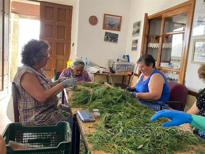 Alfombras de Corpus en  Valdeorras 2022 (4)