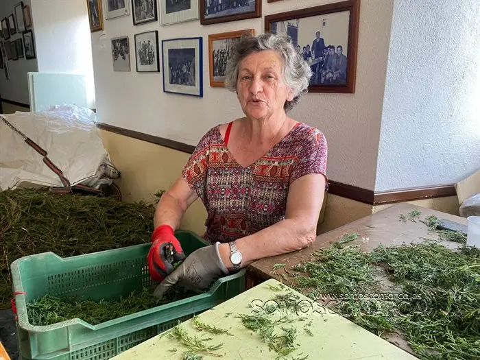 Alfombras de Corpus en  Valdeorras 2022 (7)