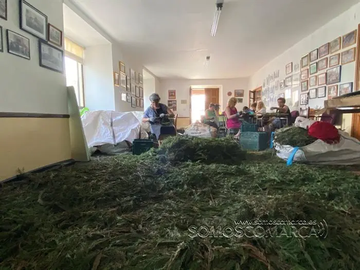 Alfombras de Corpus en  Valdeorras 2022 (8)