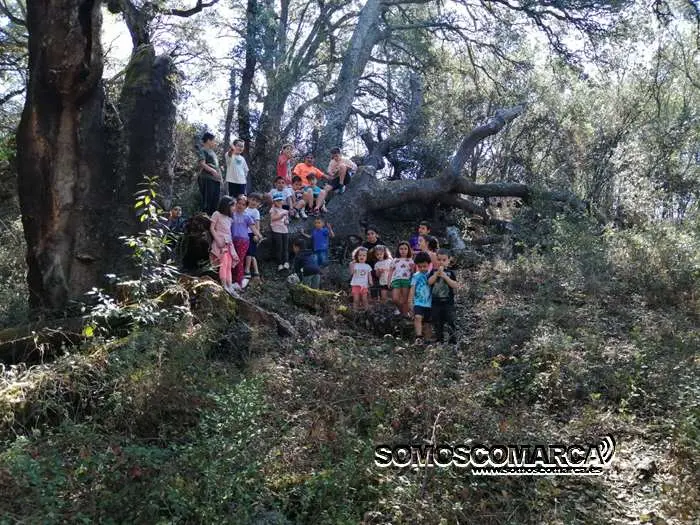 campamentoveran_carballeda (1)