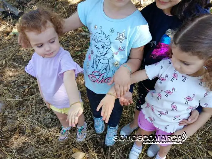 campamentoveran_carballeda (3)