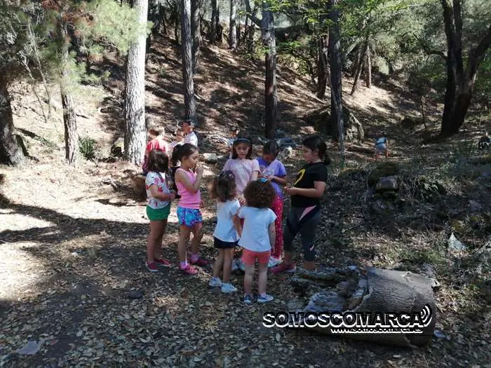 campamentoveran_carballeda (5)