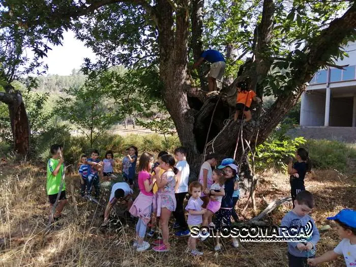 campamentoveran_carballeda (6)