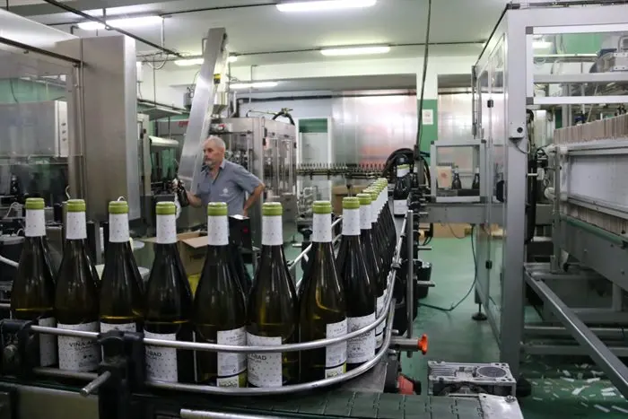 Proceso de embotellado Cooperativa Barco (6)