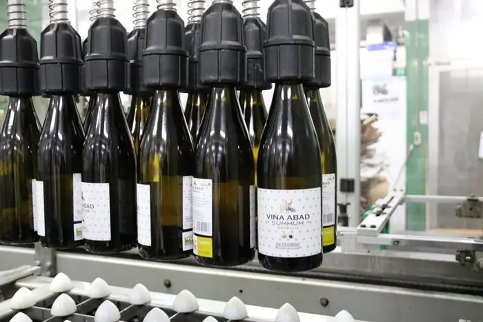 Proceso de embotellado Cooperativa Barco (4)