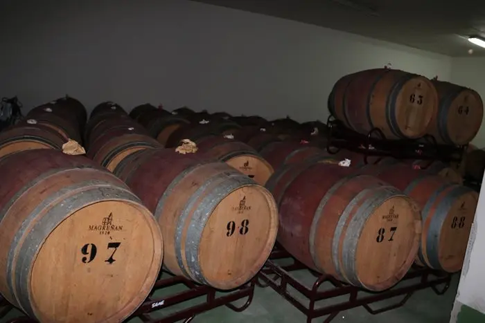 Proceso de embotellado Cooperativa Barco (3)