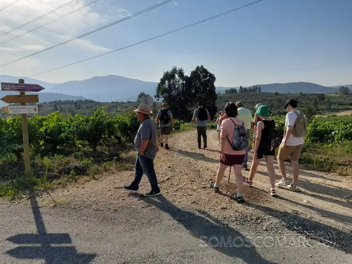 Segredos de Valdeorra, lagares rupestres e O Castrillón de Larouco (10)