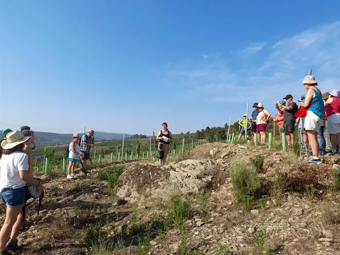 Segredos de Valdeorra, lagares rupestres e O Castrillón de Larouco (13)