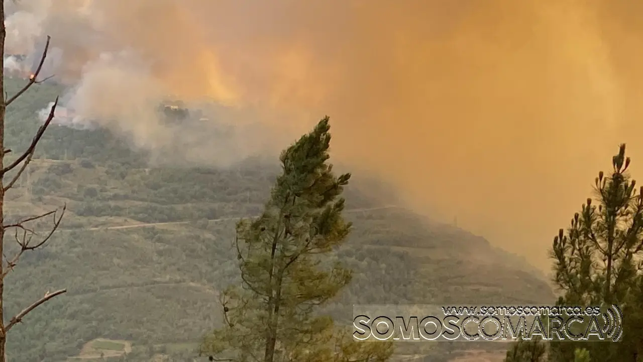 f76974d0-608b-4627-b7b2-c83e5e9d4d7b