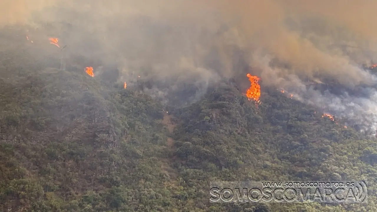 somoscomarca_fuego_incendio_canedad_domiz_carballeda_llamas_2022-07-17 (1)