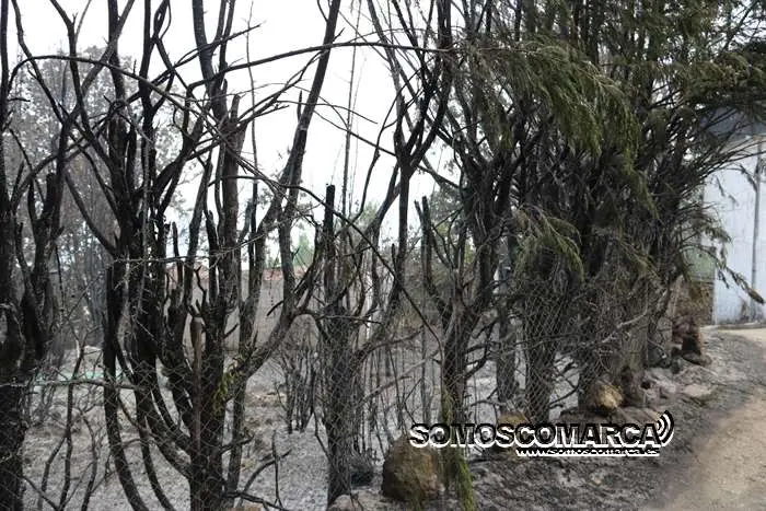incendio_alixo_obarco (31)
