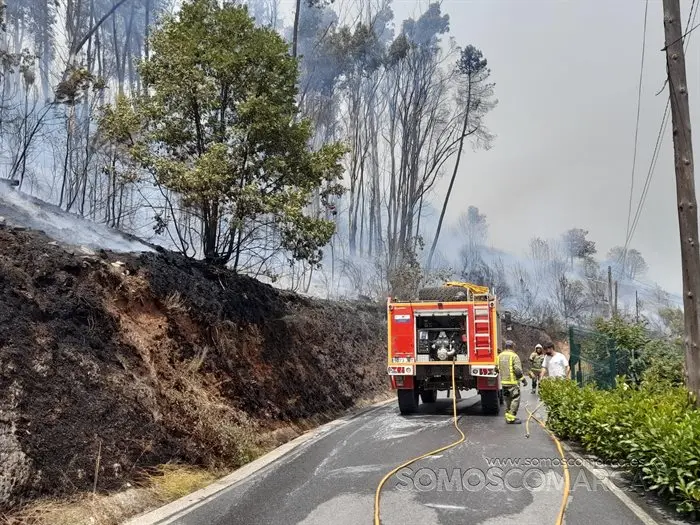 O incendio en Castro de Vilariño, Vilariño, Soulecín, Viloira, Santigoso, Candís e medios de emerxencia (4)