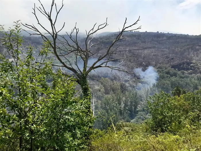 O incendio en Castro de Vilariño, Vilariño, Soulecín, Viloira, Santigoso, Candís e medios de emerxencia (14)