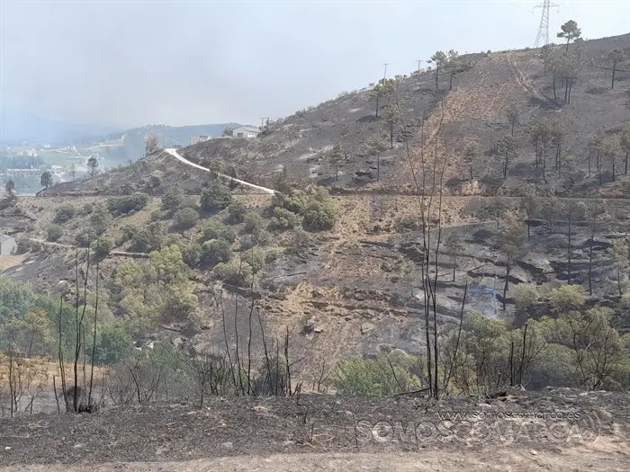 O incendio en Castro de Vilariño, Vilariño, Soulecín, Viloira, Santigoso, Candís e medios de emerxencia (15)