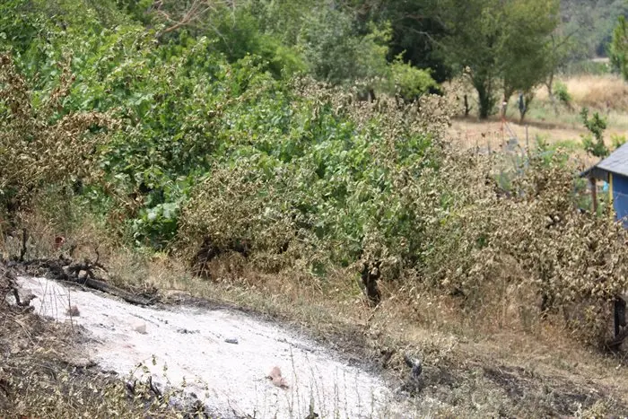 O incendio en Castro de Vilariño, Vilariño, Soulecín, Viloira, Santigoso, Candís e medios de emerxencia (31)