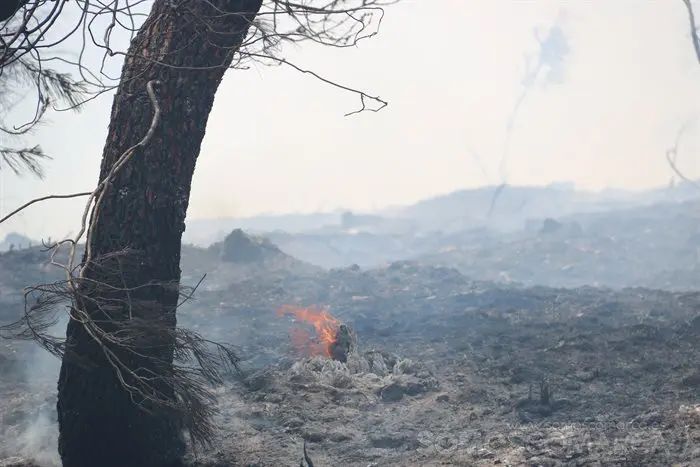 O incendio en Castro de Vilariño, Vilariño, Soulecín, Viloira, Santigoso, Candís e medios de emerxencia (35)