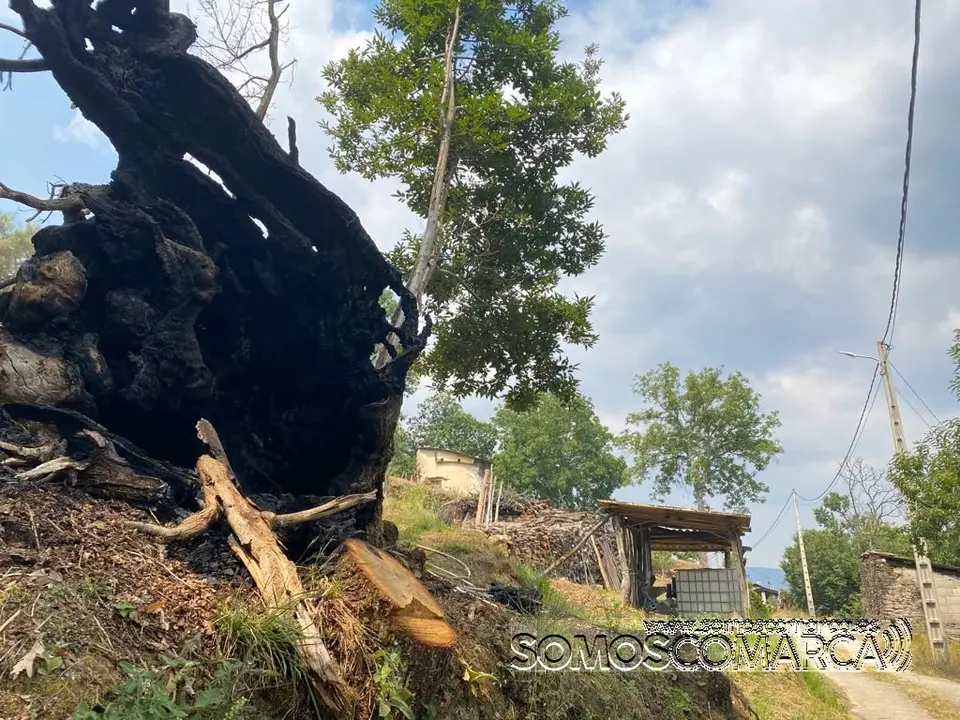 somoscomarca_fuego_robledoCarballeda_bascois_casasquemadas_2022-07-19 (31)