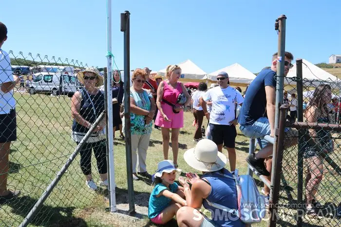 Festival Celtibérico de Manzaneda 2022 (34)