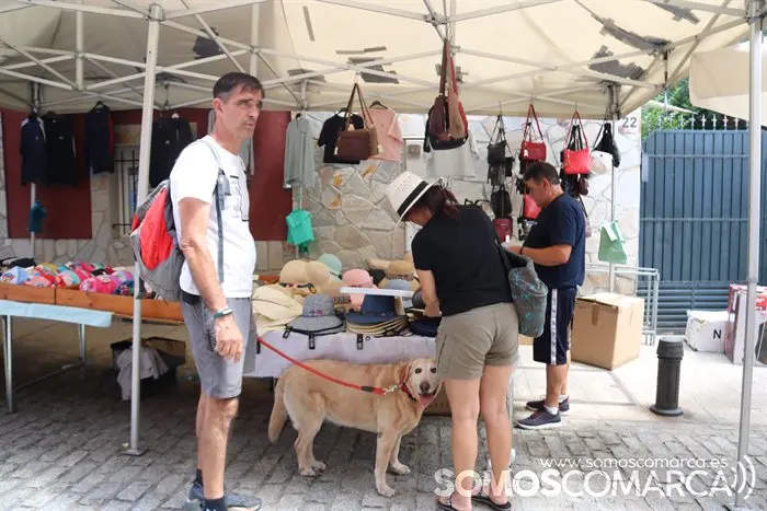 Festas de Verán na Rúa, día de feira (10)