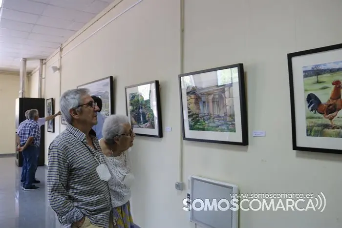 Exposición de Manuel  Gandullo en A Veiga (11)