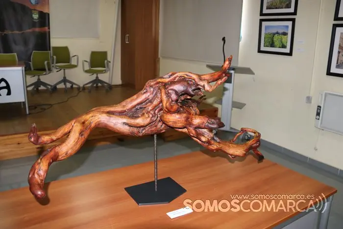 Exposición de Manuel  Gandullo en A Veiga (14)