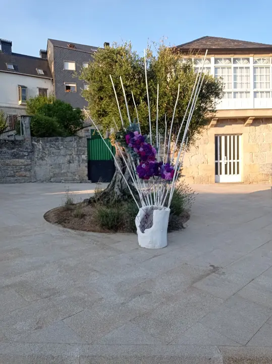 tecendosoñosaveiga (3)