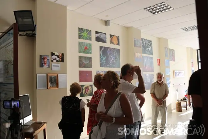 Exposición Luis Nogueira en Vilamartín (4)