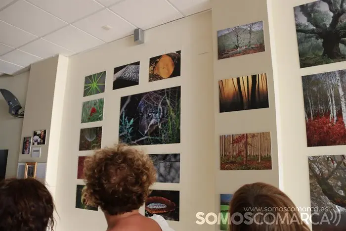 Exposición Luis Nogueira en Vilamartín (8)