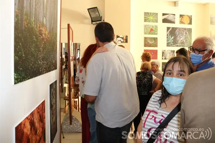 Exposición Luis Nogueira en Vilamartín (11)