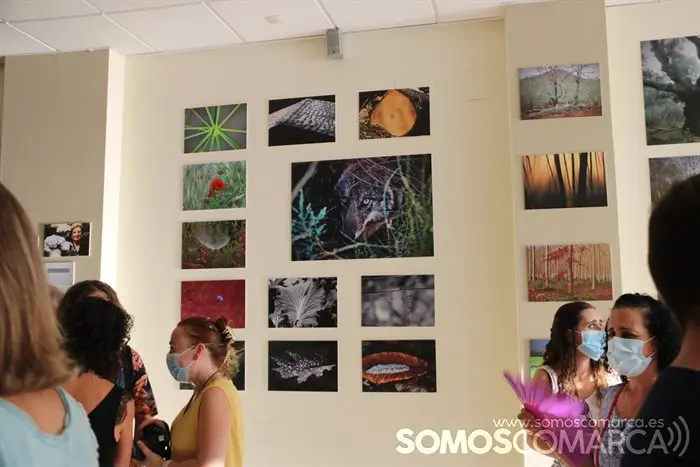 Exposición Luis Nogueira en Vilamartín (23)