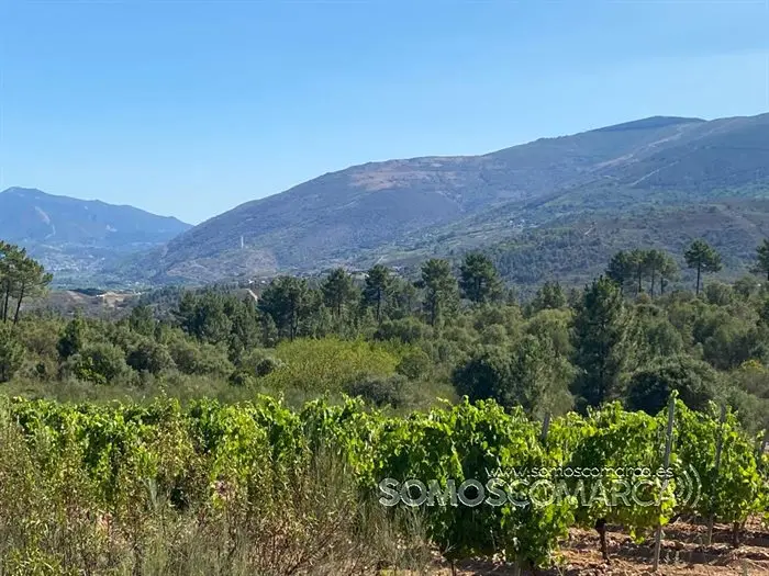 somoscomarca_seadur_poligonoagrario_2022 (1)