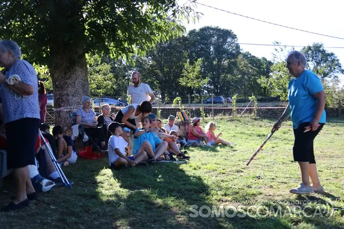 Billarda en Castiñeiro (San Xoán de Río) (8)